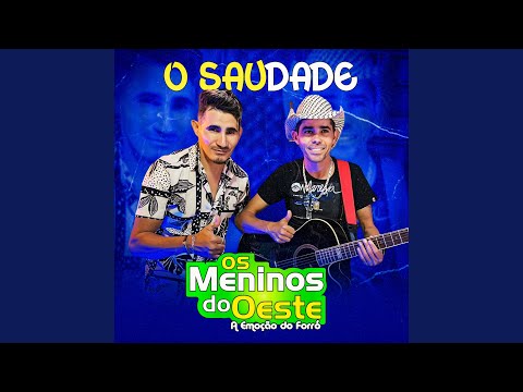Sou Peão, Sou Boiadeiro - song and lyrics by Os Meninos do Oeste