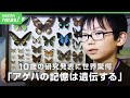【小さな昆虫博士】「蝶は神様です」幼虫の頃の“においの記憶”が遺伝?国際学会で英語のスピーチ 海外の研究者が絶賛|アベヒル