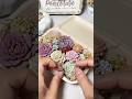 Packing clay succulents lunch box