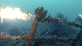 Milora Wreck The Divers Awaken