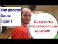 Диафрагма и лёгкие. Прикладная кинезиология. Обучение. Medical Magic