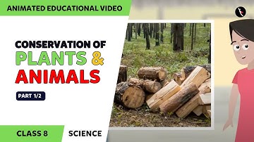 Conservation Of Plants And Animals | Part 1/2 | Class 8 Science Chapter 7 | TicTacLearn English
