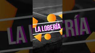 El camino de la costa y La Lobería - Río Negro - Argentina