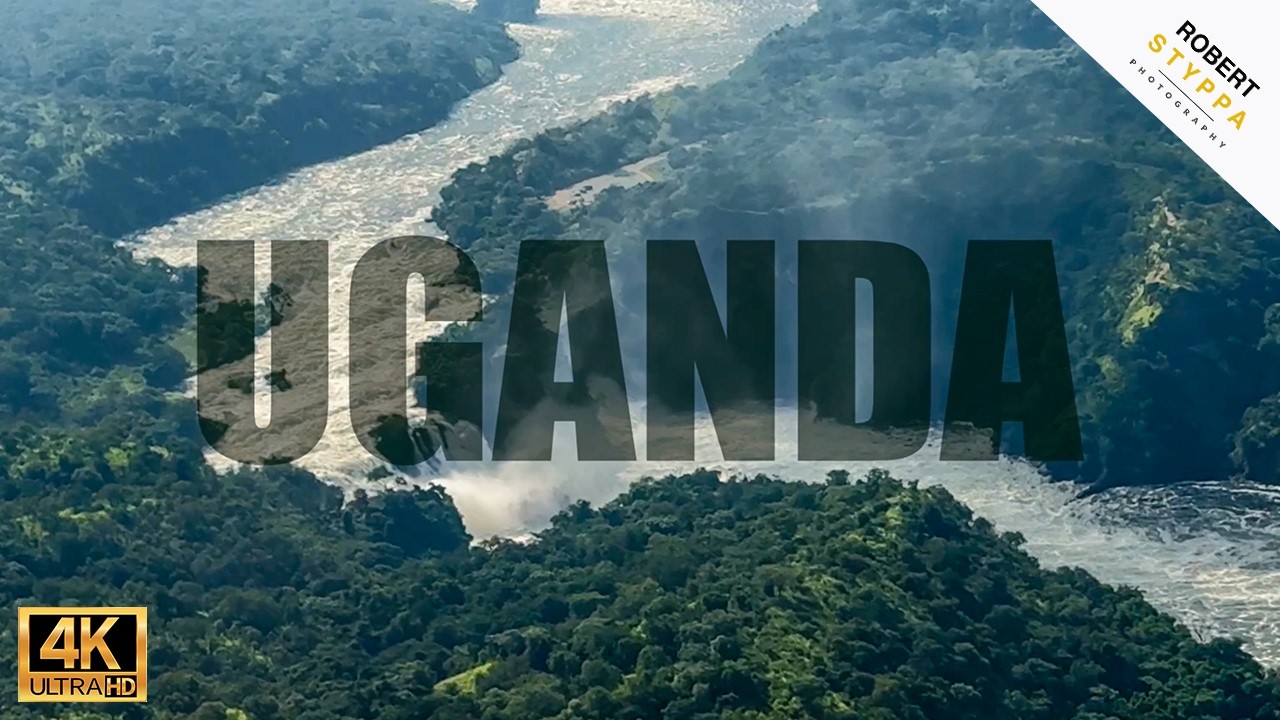 UGANDA: Flying Safari (7 Days) – Gorilla Trekking, Tree-Climbing Lions & Murchison Falls ✈️🇺🇬