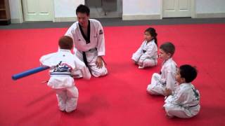 Master Moon's Tae Kwon Do - Little Tiger
