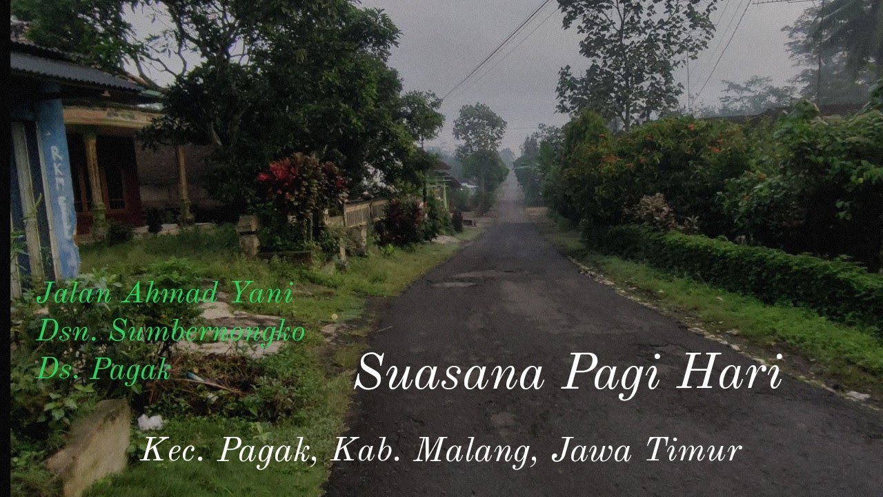 Suasana Pagi  | Jln. A.Yani, Desa Pagak, Pagak | Kab. Malang Jawa Timur