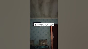 القرآن الكريم بصوت جميل #اكسبلور #قرآن #تيك_توك #لايك #ترند #راحة_نفسية #quran #في #اكسبلورر