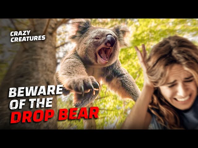 a) Drop bear in its habitat, (b) drop bear attacking prey, (c) two