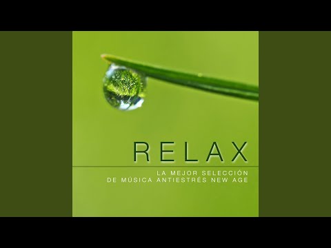 Musica para Viajar Specialists