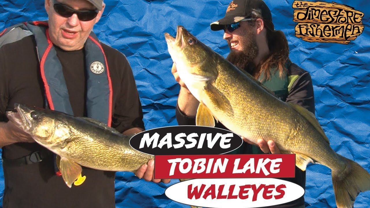 Tobin Lake Walleye HUGE DOUBLE HEADER YouTube Tobin Lake Walleye HUGE DOUBLE HEADER YouTube