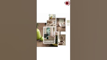 Introducing the Pantone Color of the Year 2025: Mocha Mousse 💛