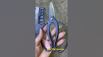 Kéo tỉa cây nội địa Nhật Bản