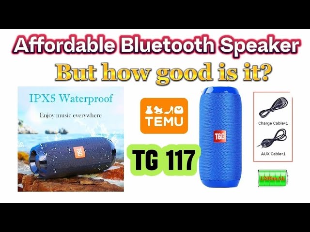 Enceinte Bluetooth Rechargeable 10 W Wifi Haut Parleur Étanche Radio