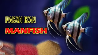 Pakan ikan manfish