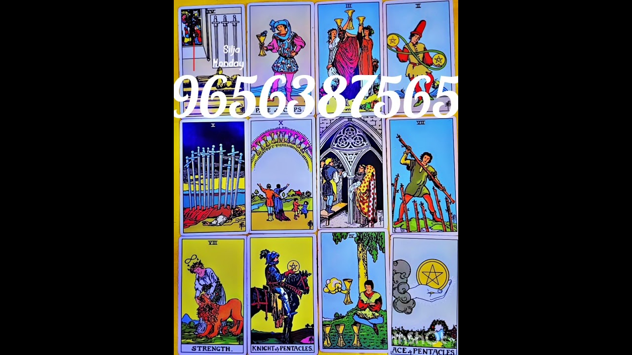 തേർഡ് പാർട്ടി പോകുന്നു 💚