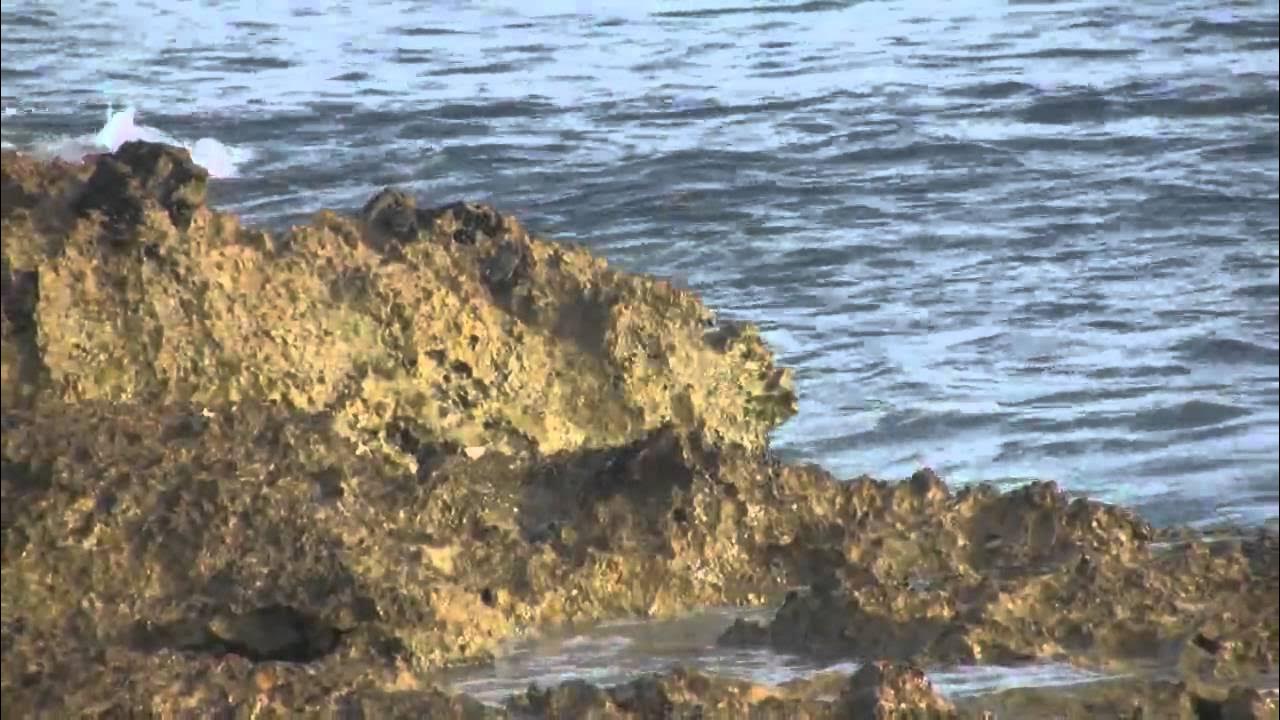 Ka Huila Wai - Israel Kamakawiwo'ole Ka Huila Wai - Israel Kamakawiwo'ole