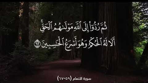 سورة الأنعام (59-67)