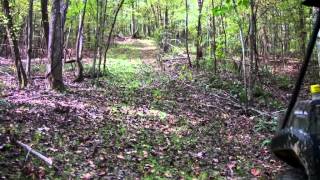 Deltag Forage Facts - Season Conclusion - Tma Ep 13