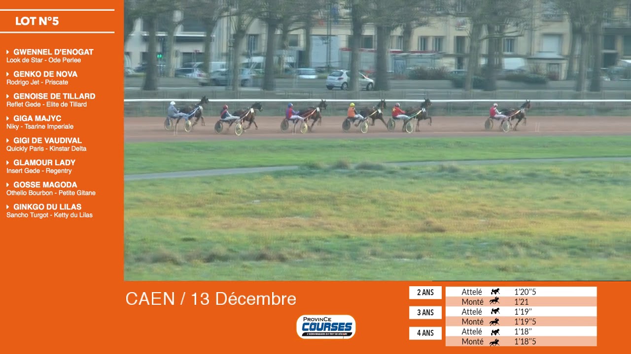 Qualifications Lot 05 - 13 12 2018 qualifications tradução