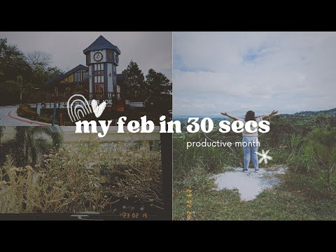 How my February went...