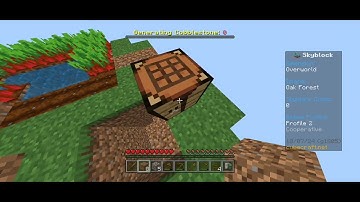 first time playing skyblock - Part 1