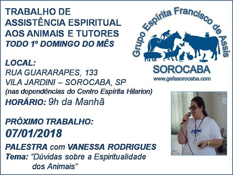 Assista: Palestra presencial - c/ VANESSA RODRIGUES (07/01/2018)