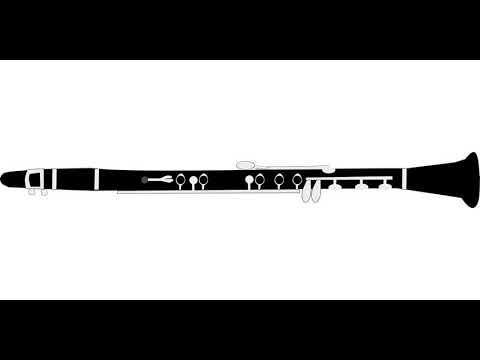 Ernst Ottensamer - Clarinet Concerto n. 2 - First Movement