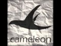 Groupe cameleon  by midou