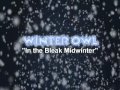 Winter Owl - In the Bleak Midwinter