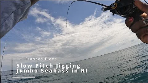 Slow Pitch Jigging Jumbo Bass in RI | Frances Fleet