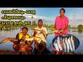 വലയിട്ടുപൊക്കിയ വാളകൾ 🐬|keral fishing