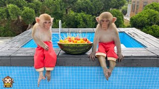 Download Lagu YiYi and YinYin's Happy Day MP3 Download Lagu YiYi and YinYin's Happy Day MP3