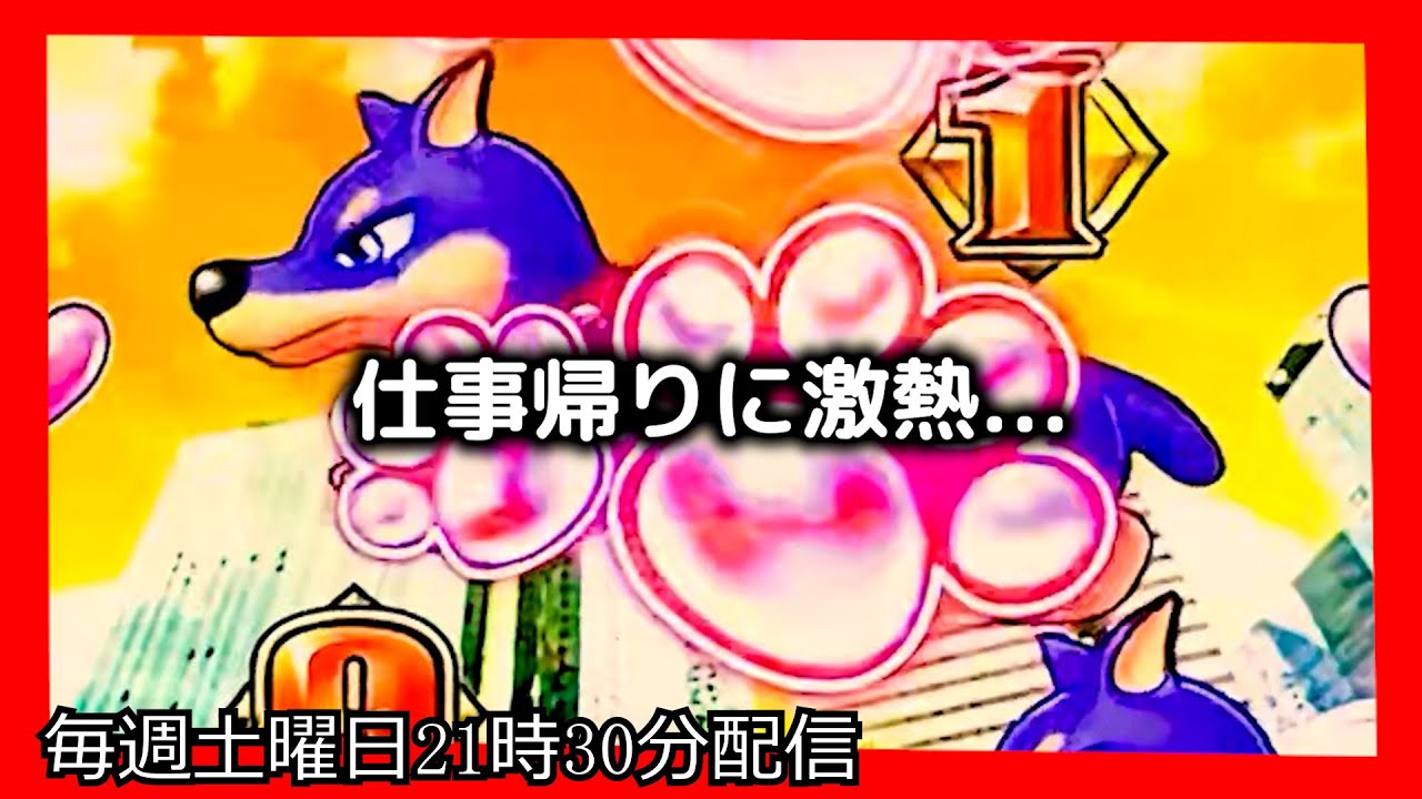 ラッキートリガーでお金を増やそうとしてみたら、とんでもない激熱がやってきました。【PAわんわんパラダイスCELEBRATION】【沖海5 パチンコ 海物語 ライブ ガチ践大海5!】