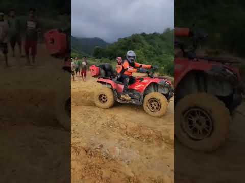 cfmoto cforce 450L