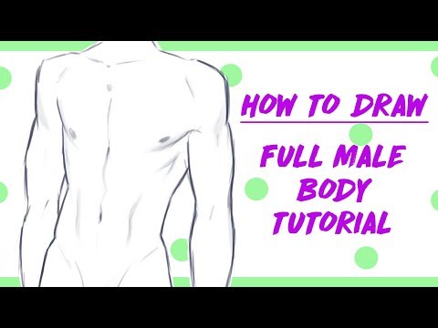 Update more than 71 male anime body reference latest - in.cdgdbentre