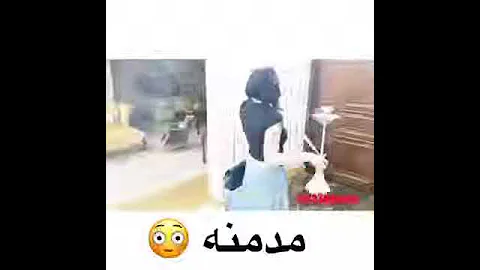اكبر وحدة تشد نفس شيشة في العالم هههه المشكلة ان الحجر مبيحلصش 