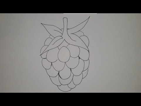 Video: Kako Olovkom Nacrtati Grančicu Maline