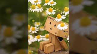 Gdy Ciebie Zabraknie   Maks.Danbo