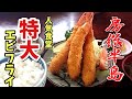 【房総半島】グルメ【千葉県鴨川市】有名食堂!【まるよ】特大エビフライ！