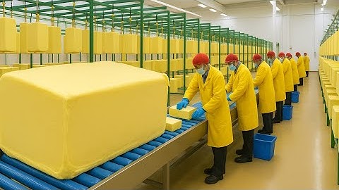 Inside the Peanut Butter Processing Factory – How Roasted Peanuts Become Million-Dollar Spreads