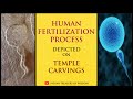 Human Fertilization Process depicted on Temple Carvings | मंदिर की नक्काशी पर मानव निषेचन प्रक्रिया