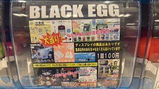 何が当たるか分からないガチャガチャ「BLACK EGG」を回してみた