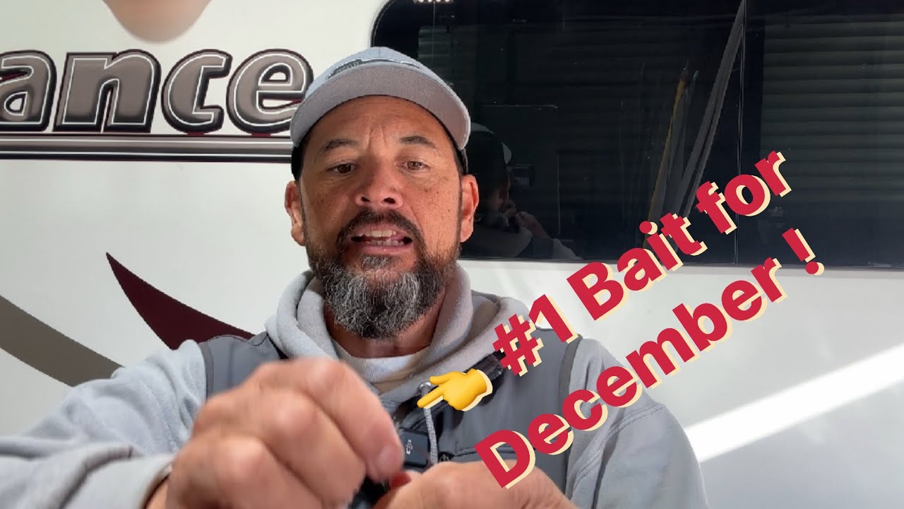 #1 Bait for December Bass Fishing | Where to Throw, Color and Size