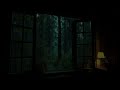 Cozy Window Rainfall with Quiet Forest Atmosphere for Deep Sleep Nights