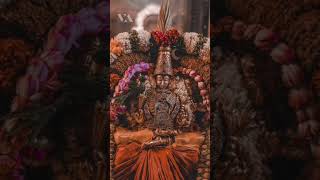 #govinda #narayana #venkateswara #srinivasa #tirupatibalaji #devotional #spiritual #viralshorts