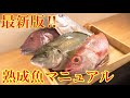 最新版！！熟成魚のやり方をマニュアル化しました🐟#釣り#寿司 #熟成