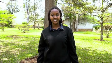 Term 2 Intro Video - Meet the new team!