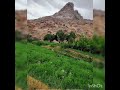 دمبوره محلی یا صدا عبدول مرادی تقدیم دوستا کنم دمبوره محلی یا صدا عبدول مرادی تقدیم دوستا کنم