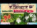 AMAZING FLOWERS AFTER THE RAIN | RELAXING MUSIC