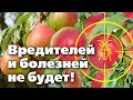 УНИЧТОЖЬТЕ ВСЕХ ВРЕДИТЕЛЕЙ И БОЛЕЗНИ ВОВРЕМЯ!